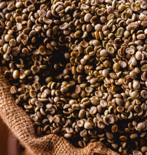 Top-Rated Wholesale Coffee Suppliers Indonesia - Quality Beans Await!